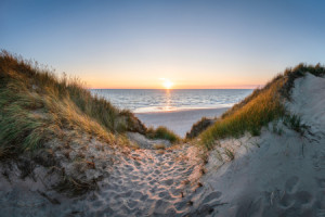 Untersetzer - Der Weg Zum Strand oder mit Eigenem Foto