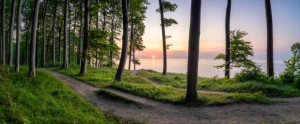Wunschmotiv Untersetzer - Sonnenaufgang Im Nationalpark Jasmund Auf...