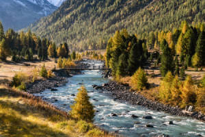 Bild auf Untersetzer - Herbstlandschaft oder mit Eigenem Foto