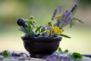 Motiv als Untersetzer - Sommer Kräuter Mix Aus Dem Garten oder mit ...