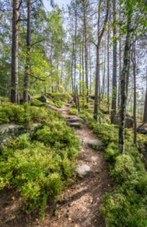 Bild auf Untersetzer - Wandern Auf Dem Malerweg oder mit Eigenem Foto