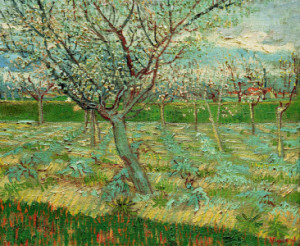 Motiv als Untersetzer - Van Gogh Orchard In Blossom 1888 oder mit E...