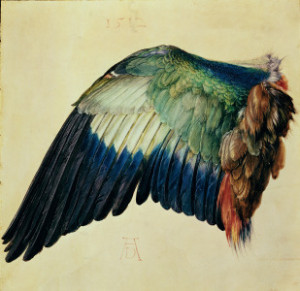 Bild Untersetzer - Wing Of A Blue Roller 1512 oder mit Eigenem Foto