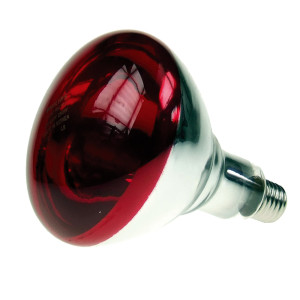 Lâmpada para candeeiro de infravermelhos, 150W.