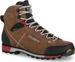 Dolomite Men's 54 Hike Evo GORE-TEX Bronze Brown, 47