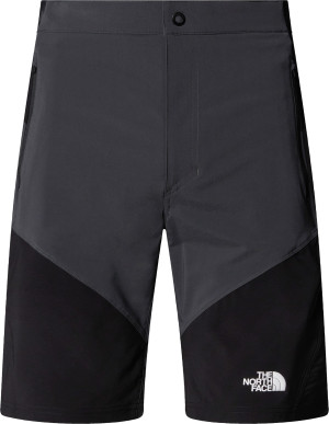 The North Face Men's Felik Slim Tapered Shorts Asphalt Grey/TNF Black/NPF, Asphalt Grey-Tnf Black-, 46