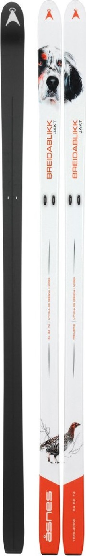Åsnes Breidablikk Hunter Bc Ski White 170