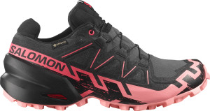 Salomon Women's Speedcross 6 GORE-TEX Nine Iron/Black/Flamingo Pink 36