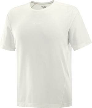 Salomon Men's Shkout Core Short Sleeve Tee Icicle XL
