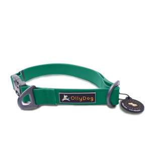 OllyDog Tilden Collar Teal L