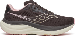 Saucony Women's Ride 19 Torte/eggshell, 41