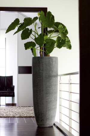 Flingora Vase »Ophelia« mit Einsatz - Fiberglas Pflanzvase - Indoor & Outdoor - Matt Steingrau - Höhe 120 cm / Ø 46 cm