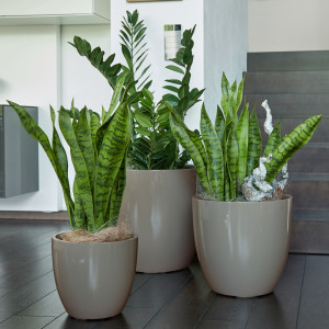 Flingora Kübel »Faye« mit Einsatz - Fiberglas Pflanzkübel - Indoor & Outdoor - Hochglanz Taupe - Ø 40 cm / Höhe 37 cm