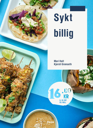 Kjersti Grønseth, Mari Hult Sykt Billig