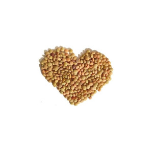 Bio-Keimsaat Berglinsen, 500 g