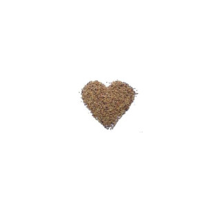 Bio-Keimsaat Alfalfa, 150 g