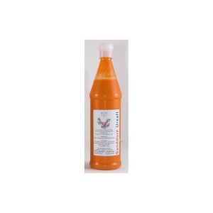 Sanddorn Ursaft 750 ml