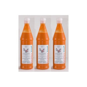 Sanddorn Ursaft 3 x750 ml