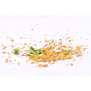Bio-Sprossensamen Detox-Mix, 250 g