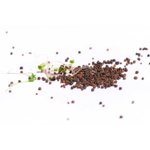 Bio-Sprossensamen Power-Mix, 250 g