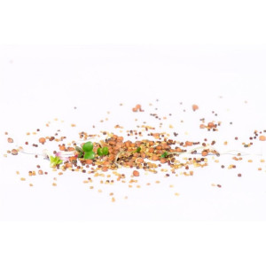Bio-Sprossensamen Fitness-Mix, 250 g