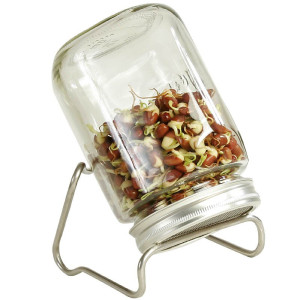 Sprossenglas-Set mit 1 Glas 1000 ml (mit Edelstahlgestell)