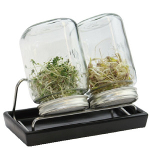Sprossenglas-Set mit 2 Gläsern 1000 ml (mit Edelstahlschraubring) Anthrazit
