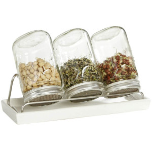 Sprossenglas-Set mit 3 Gläsern 1000 ml (mit Edelstahlschraubring) Weiss