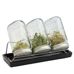 Sprossenglas-Set mit 3 Gläsern 1000 ml (mit Edelstahlschraubring) Anthrazit