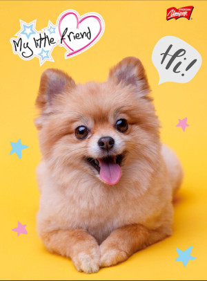 product photo