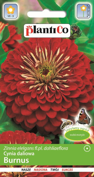 Cynia Daliowa Burnus 1g Plantico
