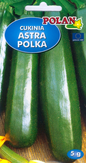 Dynia Zwyczajna Astra Polka Polan