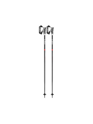 Leki Bastones de esquí Neolite gris   110