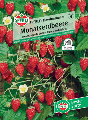 Monatserdbeere Sperli 's Bowlenzauber