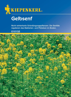 Pflanzen Kiepenkerl Gelbsenf 80 g