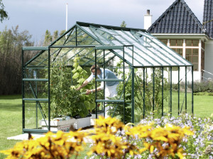Vitavia Gewächshaus Mars 11500 445 x 257 cm 3 mm ESG