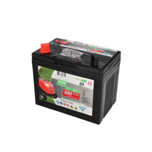 Cartec Rasenmäherbatterie 30Ah/300A +links