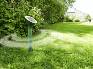 Swissinno Solar Maulwurf-Vertreiber grün