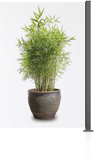 Ambiente Glaszaun Erweiterungsset Klarglas 187 x 124,2 cm grau