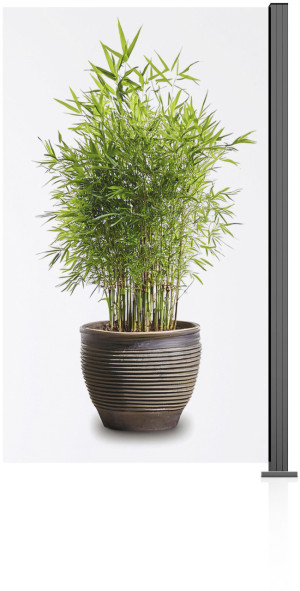 Ambiente Glaszaun Erweiterungsset Klarglas 187 x 107,2 cm grau