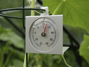 Vitavia Thermometer