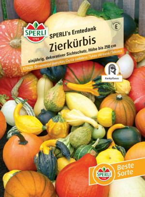 Zierkürbis SPERLI's Erntedank