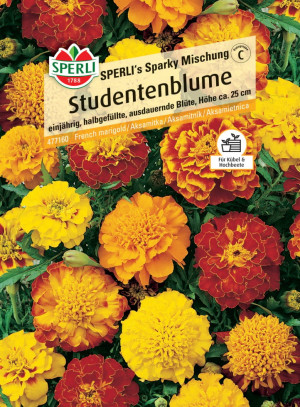Studentenblume SPERLI's Sparky Mischung