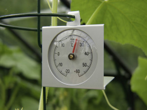 Vitavia Thermometer