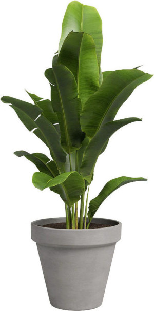 Artevasi Pflanztopf Amália Terrakotta grau Ø 17 x 15 cm