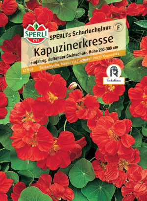Kapuzinerkresse SPERLI's Scharlachglanz