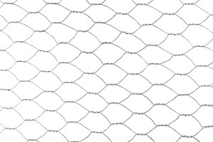 Floraworld Maschendraht-Zaun 2,5 m x 50 cm 13 mm Maschenweite verzinkt