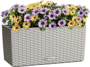 Lechuza Blumenkasten-Set Balconera Cottage 40 Kunststoff sandbraun 40,4 x 19,2 cm