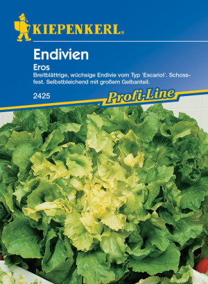 Kiepenkerl Endivie Eros
