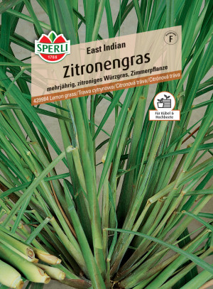 Sperli Zitronengras East Indian
